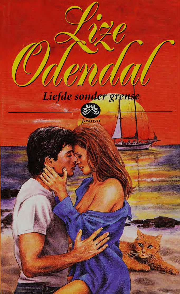 Liefde sonder grense – Lize Odendal | Tafelberg | Suid-Afrikaanse pulpboek omslag (2001)