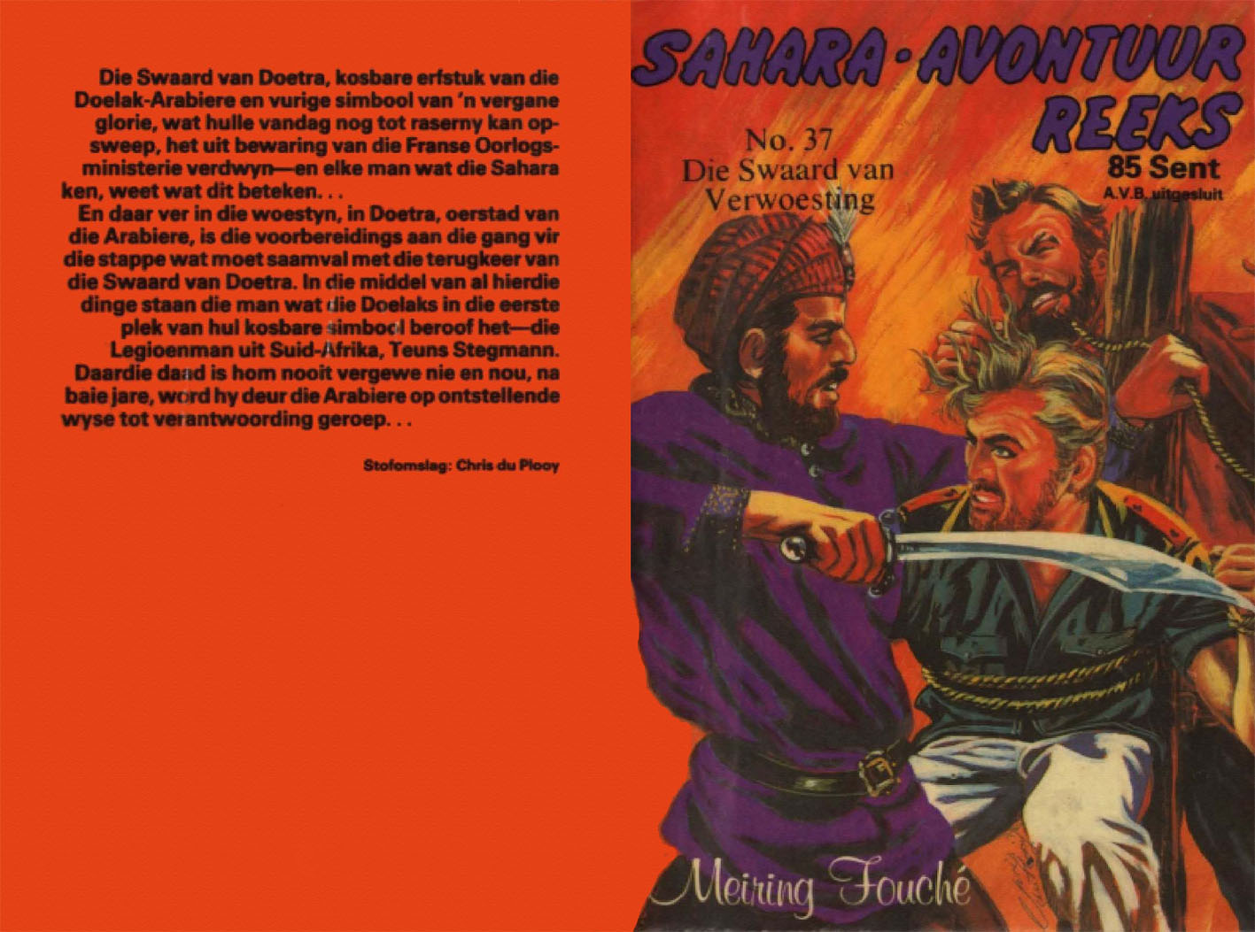 Die swaard van verwoesting - Meiring Fouche (1980)