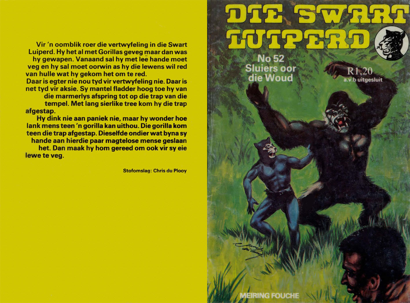 Sluiers oor die woud - Meiring Fouche (1980)