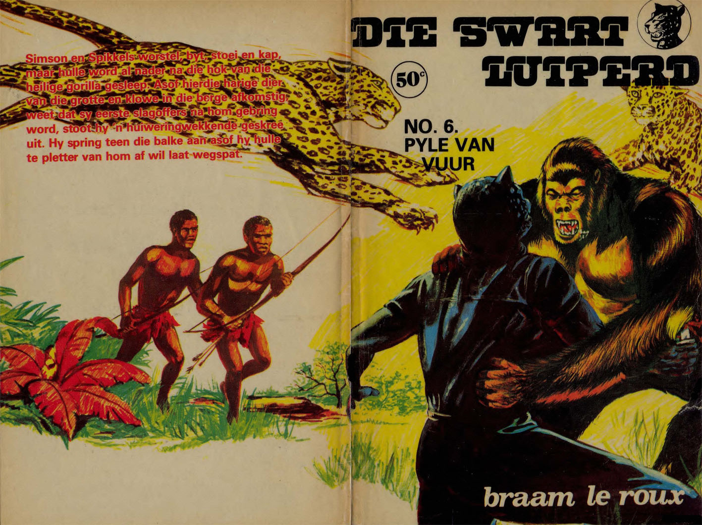 Pyle van vuur - Braam le Roux (1980)